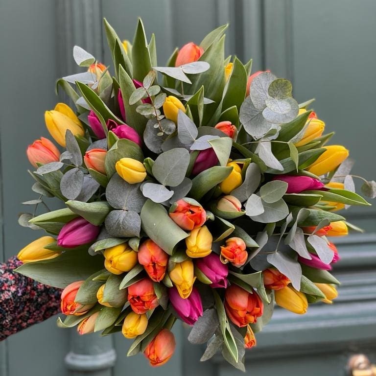 Les Tulipes
