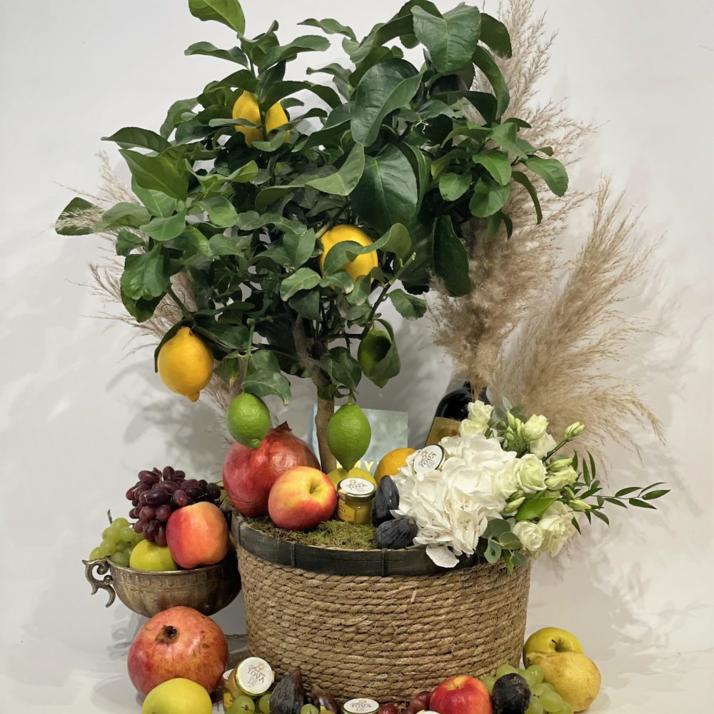 Panier cadeau citronnier